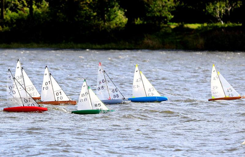 MYA Scottish IOM Travellers at Forfar Loch - photo © Brian Summers