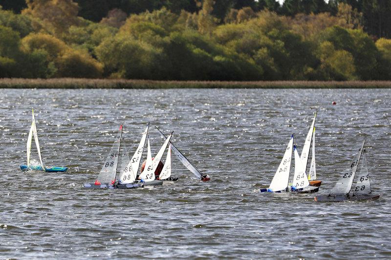 MYA Scottish IOM Travellers at Forfar Loch photo copyright Brian Summers taken at  and featuring the One Metre class