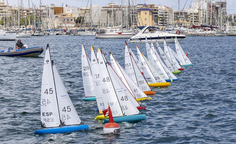 Guillermo Beltri wins the 7th Torrevieja International IOM Open at Real Club Náutico de Torrevieja - Vimarsana News