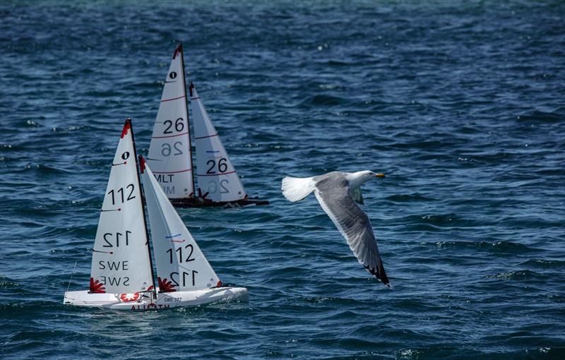 IOM European Championship in Rogoznica photo copyright JK Val Šibenik taken at Jedrilicarski Klub Val Šibenik and featuring the One Metre class