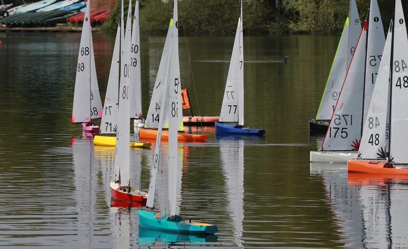 International One Metre (IOM) Eastern District Team Event at Norwich Model Yacht Club - photo © Andy Wa