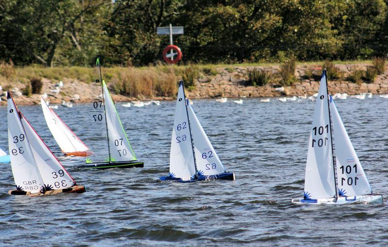 MYA Scottish District IOM Championship at Buchanness photo copyright Bill Odger taken at Buchanness Radio Yacht Club and featuring the One Metre class