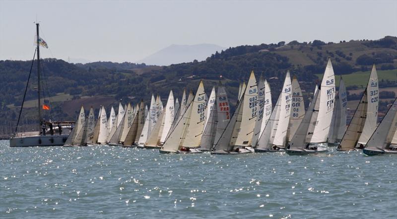 International 2.4mR Class fleet photo copyright RYA taken at RYA Dinghy Show and featuring the 2.4m class