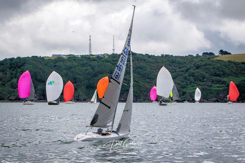 2.4m fleet at the PPSA Port of Plymouth Regatta photo copyright Paul Gibbins / paulgibbinsphotography.pixieset.com taken at Port of Plymouth Sailing Association and featuring the 2.4m class