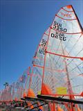 29er EuroCup Series event 1 at Club Nautico El Balis © G Webb