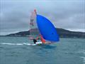 Ollie and Freddie during 29er Allen GP5 at the WPNSA © 29er Class Association