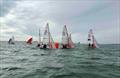 © 29er Class Association