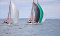 29er - OceanBridge Sail Auckland - Torbay - February 1, 2026 &copy; Jacob Fewtrell/Insight Media