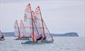29er - OceanBridge Sail Auckland - Torbay - February 1, 2026 &copy; Jacob Fewtrell/Insight Media