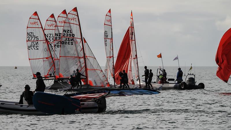 29er class holding sprint racing at Wakatere BC - Narrow Neck - June 2020 - photo © Richard Gladwell / Sail-World.com