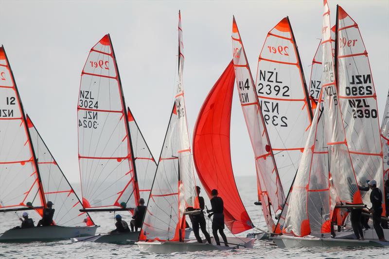 29er class holding sprint racing at Wakatere BC - Narrow Neck - June 2020 - photo © Richard Gladwell / Sail-World.com