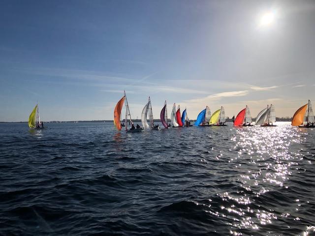 Typhoon 29er Winter Championship at Grafham Water - photo © Rachael Jenkins