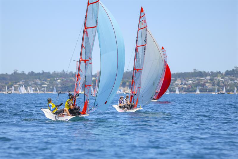 29er - Day 2 - Sir Peter Blake Regatta - Torbay Sailing Club - December 8, 2025 - photo © Jacob Fewtrell/Insight Media/Insightmedia.co.nz/