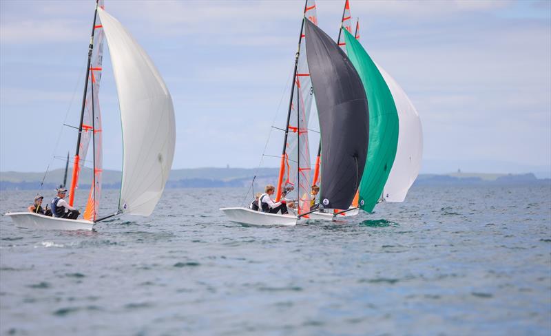 29er - OceanBridge Sail Auckland - Torbay - February 1, 2026 - photo © Jacob Fewtrell/Insight Media