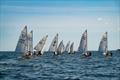 Camden Classics Cup Youth Regatta © Camden Classics Cup