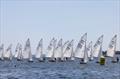 &copy; Camden Classics Cup