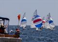 &copy; Camden Classics Cup