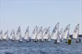 2026 Camden Classics Cup &copy; Alison Langley