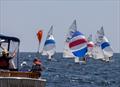 2026 Camden Classics Cup &copy; Alison Langley