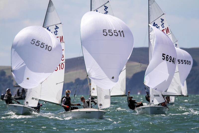 420 -  Day 2 - Oceanbridge NZL Sailing Regatta - Takapuna BC February 18, 2022 photo copyright Richard Gladwell / Sail-World.com/nz taken at Takapuna Boating Club and featuring the 420 class