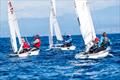 &copy; 470 Olympic Class / Karolina Soltaniuk