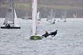 Salcombe Festive Series Race 3 on New Year's Day 2022