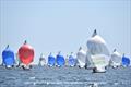 505 Pre-Worlds at Crosshaven Day 2