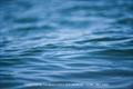 Still no wind on 505 Worlds at Crosshaven Day 3