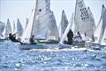 Finally some breeze on day 5 of the 505 Worlds at Crosshaven