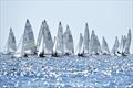 Finally some breeze on day 5 of the 505 Worlds at Crosshaven