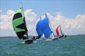 Fleet - 2023 Ronstan 505 Australian Championship