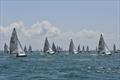 505 Europeans at Quiberon, France