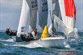 505 Europeans at Quiberon, France