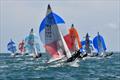 505 Europeans at Quiberon, France