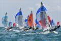 505 Europeans at Quiberon, France