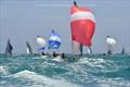 505 Euro Cup Series Leg 1 at La Rochelle
