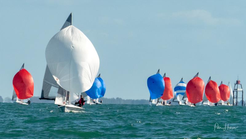 5O5 Euro Cup at Hayling Island photo copyright Peter Hickson taken at Hayling Island Sailing Club and featuring the 505 class