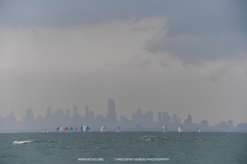 2020 Australian 505 Championship - Day 3 photo copyright Christophe Favreau taken at Royal Brighton Yacht Club and featuring the 505 class