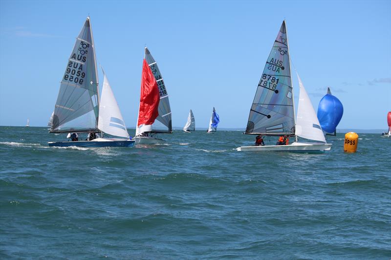 Chris and Ian Gregg (8781) during the 505 Australian Championship Invitation Race - photo © Jordan Spencer