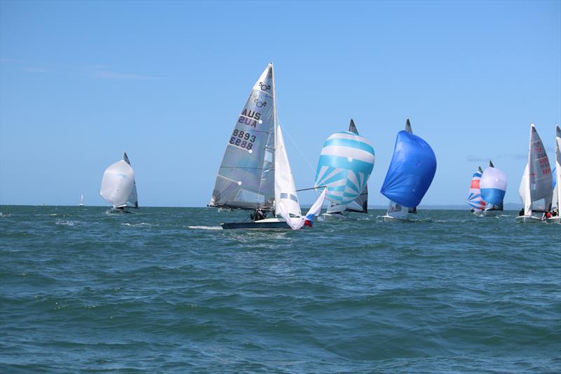 Ryan Menzies and Lucas Geddes (8893) during the 505 Australian Championship Invitation Race photo copyright Jordan Spencer taken at Darling Point Sailing Squadron and featuring the 505 class