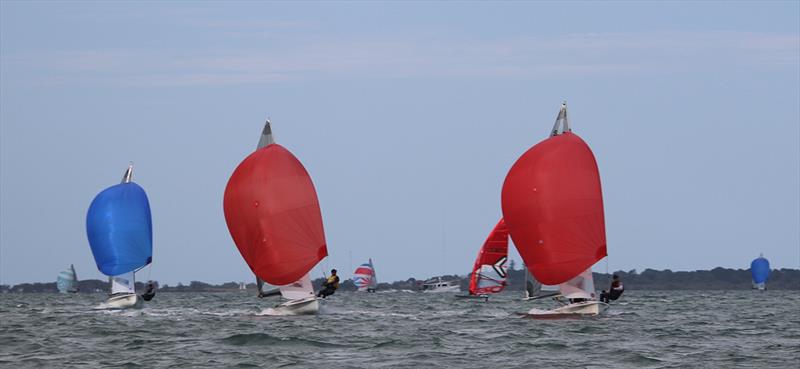 505 Australian Championship 2023 photo copyright Jordan Spencer taken at Darling Point Sailing Squadron and featuring the 505 class