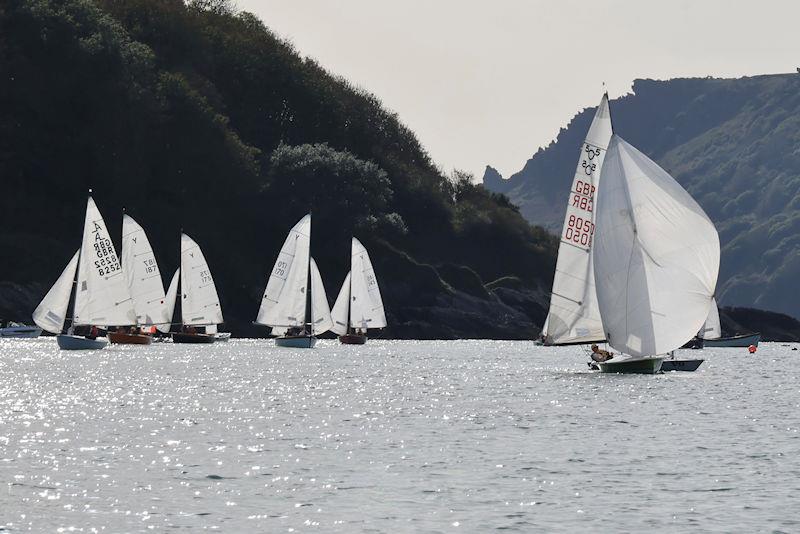 Salcombe Yacht Club Autumn Series Race 6 photo copyright Lucy Burn taken at Salcombe Yacht Club and featuring the 505 class