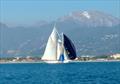 Tara against Orion at the Viareggio Classic Regatta © Paolo Maccione