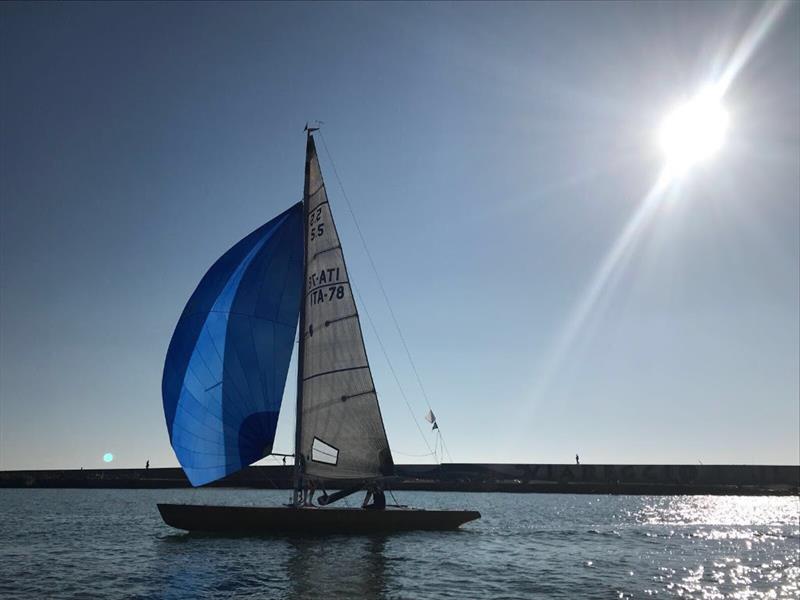 Tara at the Viareggio Classic Regatta photo copyright Paolo Maccione taken at Club Nautico Versilia and featuring the 5.5m class