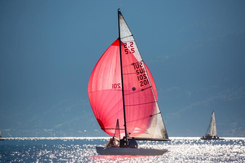 Zicca - Final Day - 5.5 Metre Herbstpreis on Lake Thun - photo © Robert Deaves