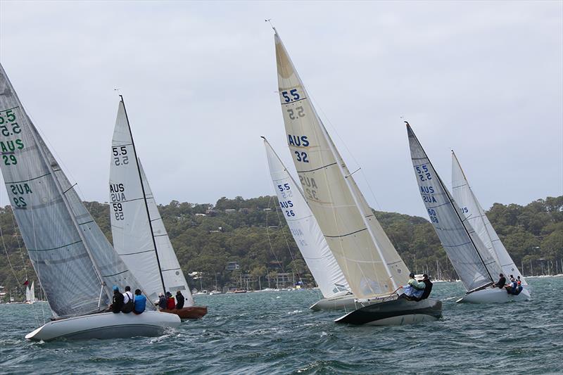 Fleet Start - 2019 5.5M Australian Championships  photo copyright Katie Pellew taken at Royal Prince Alfred Yacht Club and featuring the 5.5m class