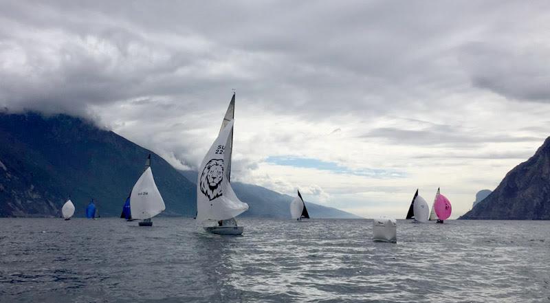 2019 Alpen Cup at Circolo Vela Torbole photo copyright Robert Deaves taken at Circolo Vela Torbole and featuring the 5.5m class