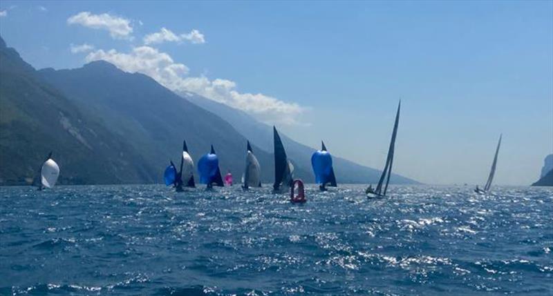 Downwind in Race 2 - Alpen Cup 2022 photo copyright Robert Deaves taken at Circolo Vela Torbole and featuring the 5.5m class