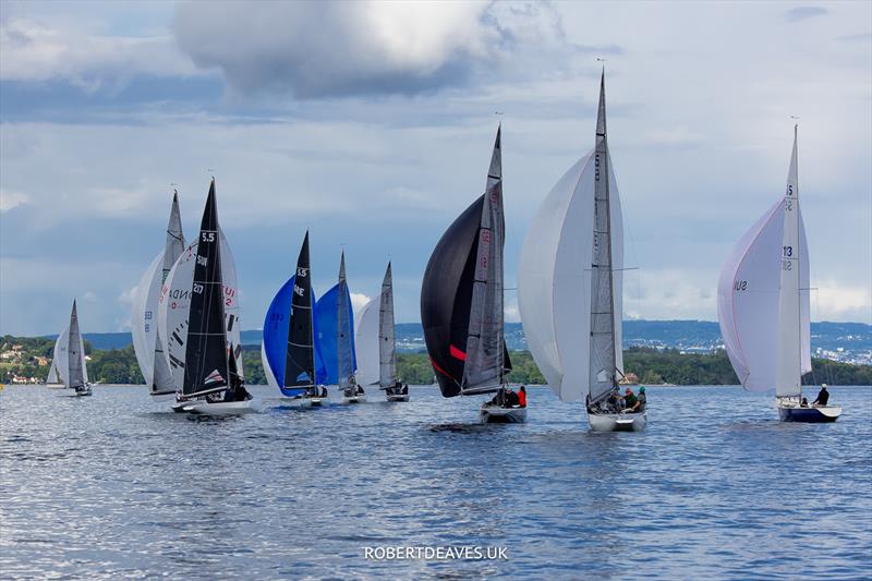 2024 5.5 Metre Swiss Open at Société Nautique Rolloise - Vimarsana News