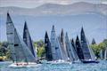 International Six Metre Swiss National Championship 2026 on Lake Geneva